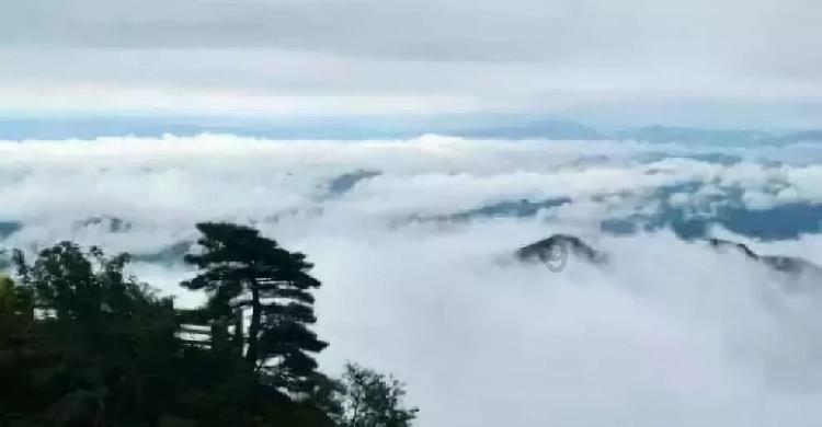 探索北方的冬天与南方的冬天有什么区别的知识星球,开启无限学习之旅